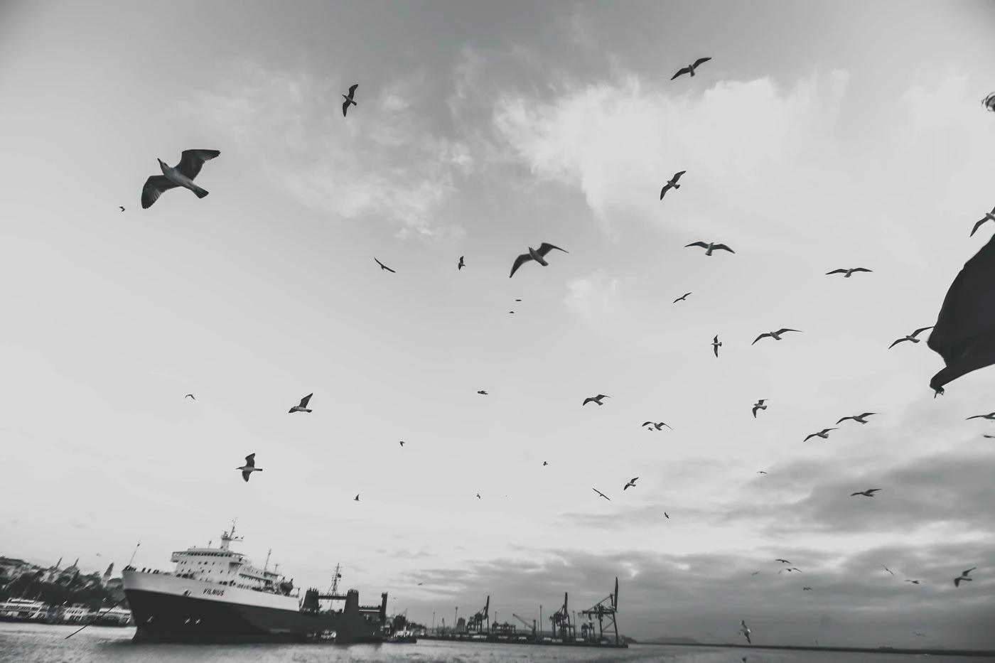 İstanbul foto-deneme