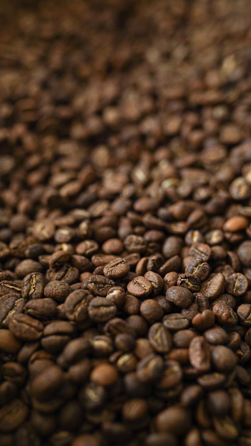 Federal Coffee — Arşivden Yeni Seçki