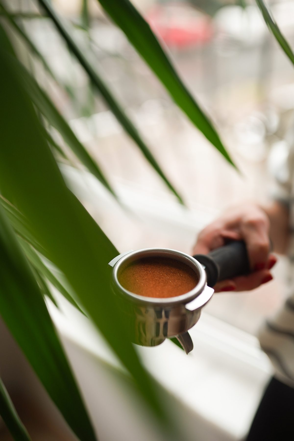 Federal Coffee — çekim karesi 15