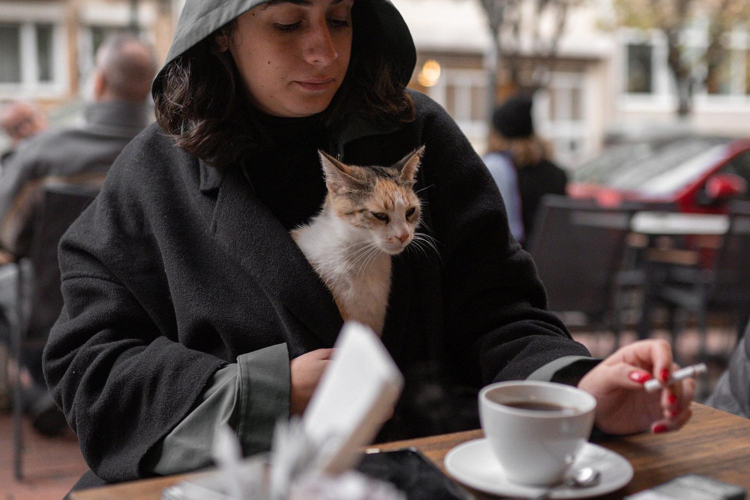 Federal Coffee — çekim karesi 74