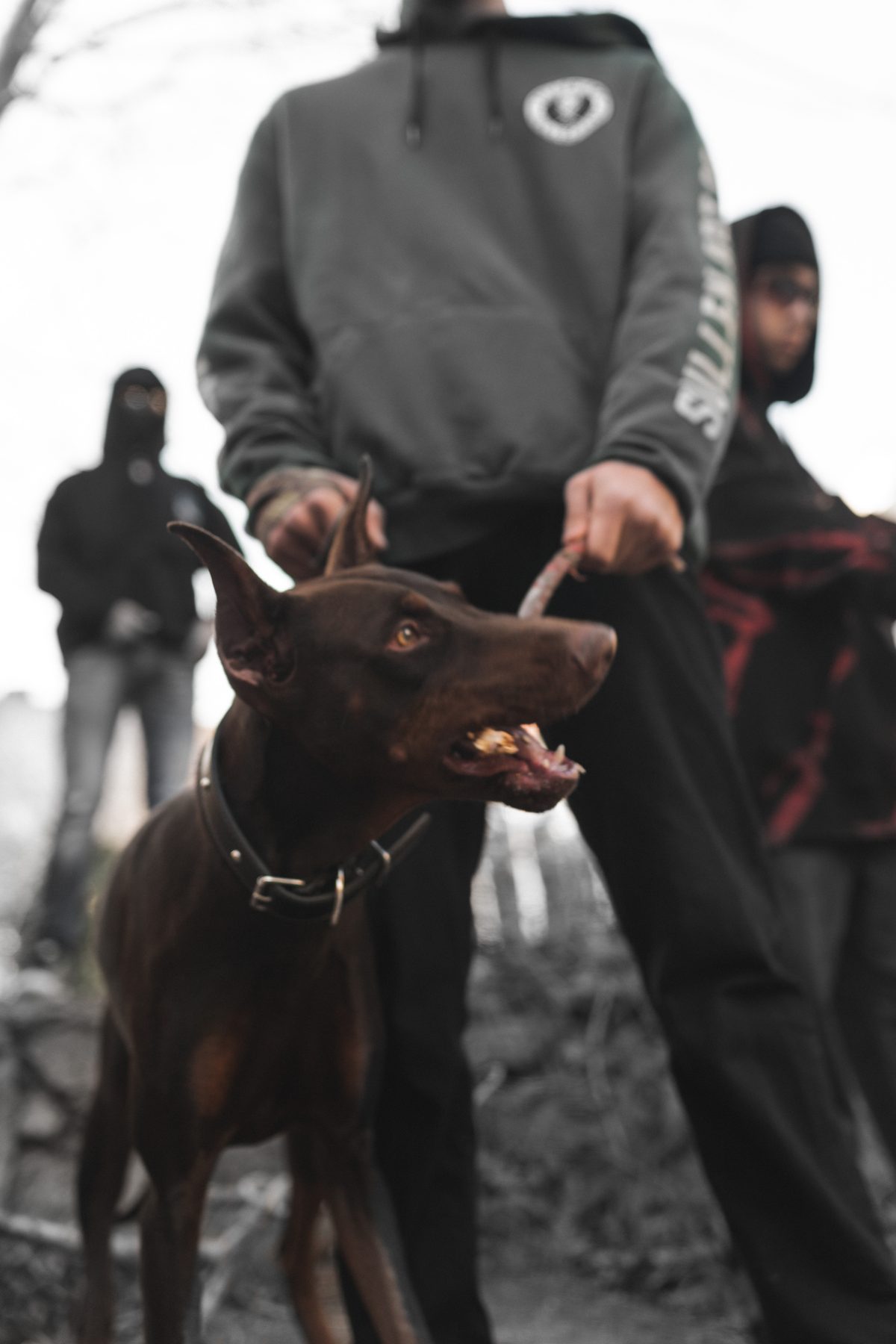 Sullen — çekim karesi 98