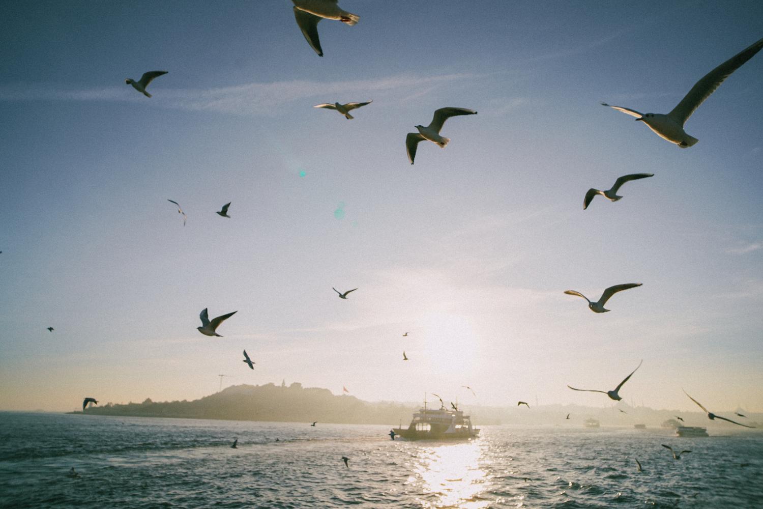 İstanbul